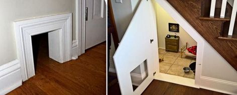 Cat Rooms Indoor Under Stairs, Under Stair Cat House, Cat Door Under Stairs, Understairs Cat Area, Understairs Cat House, Litter Box Room Under Stairs, Cat Litter Box Ideas Hidden Under Stairs, Cat Closet Under Stairs, Cat Litter Box Under Stairs