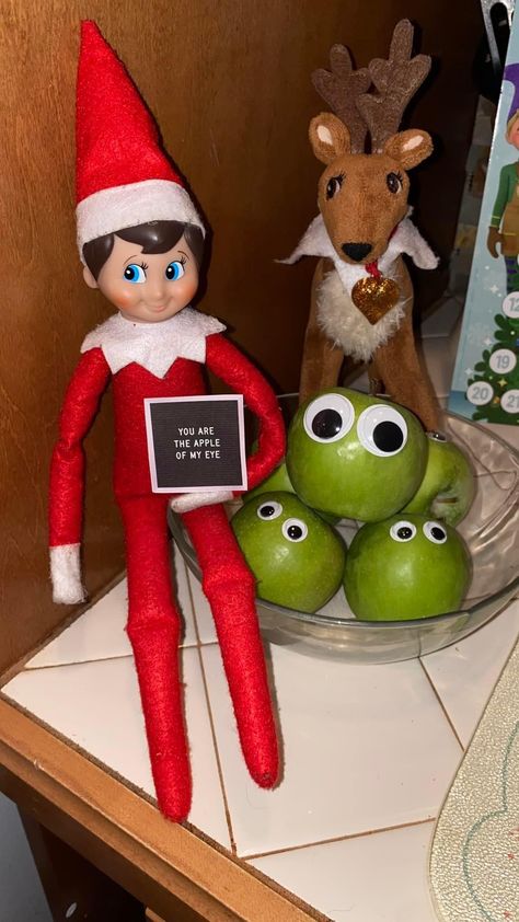 Elf On The Shelf, Elf