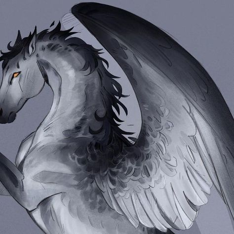 White Pegasus Aesthetic, Pegasus Aesthetic, Horse Pfp, Pegasus Drawing, Mythical Horses, Mythical Creatures Drawings, Pegasus Art, Realistic Animal Drawings, Interesting Creatures