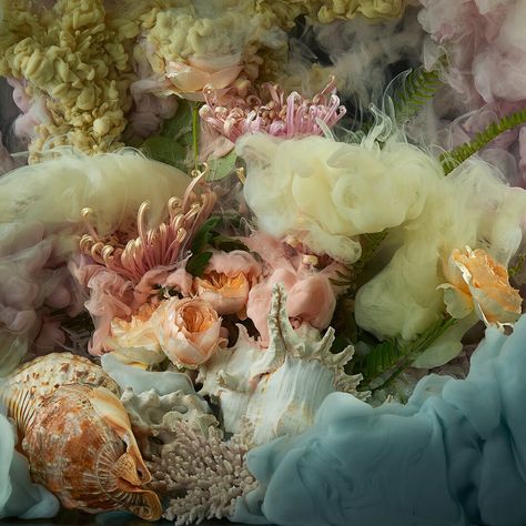 ‘Ethereal Flora’ in detail, we have new @georgiemalyon photographic prints from her recent show ‘Immersed in Flowers’, they are available now online @ endemicworld.com Floral Sculpture, Nathan Miller, Nz Art, Graphic Posters, Skull Painting, Prints Design, Shopping Photography, Limited Edition Art Print, Flower Beauty