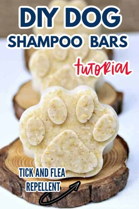 Flea Shampoo For Dogs, Dog Shampoo Recipe, Diy Shampoo Bar, Diy Dog Shampoo, Homemade Dog Shampoo, Homemade Shampoo Bar, Dog Shampoo Bar, Shampoo Bar Recipe, Natural Dog Shampoo