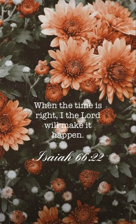 Scripture Phone Backgrounds, Christian Pictures Inspirational, Bible Verses About Hope, Verses About Hope, Bible Quotes Pictures, Everything Will Be Fine, Scripture Wallpaper, Christian Quotes Wallpaper, Bible Verse Background