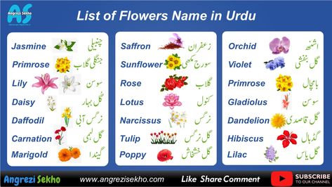 https://angrezisekho.com/list-of-flowers-with-urdu-hindi-meaning/ Carnation Flower Meaning, All Flowers Name, Urdu Image, Gladiolus Flower, List Of Flowers, Flower Meanings, Daffodil Flower, Marigold Flower, Camellia Flower