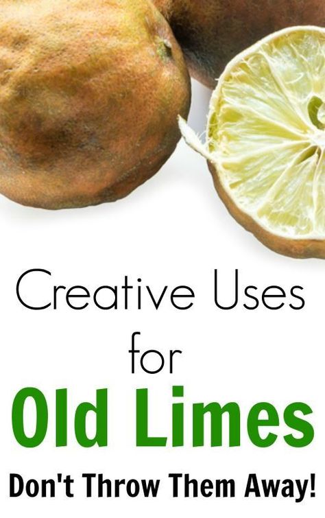 Wondering what to do with limes that are just a bit too old? Here are some creative uses for old limes so you don't have to throw them away! Fresh Limes Recipes, Old Lemons What To Do With, What To Do With Old Oranges, Old Oranges What To Do With, Uses For Limes, Recipes Using Fresh Limes, What To Do With Limes, Lime Recipes Healthy, Veggie Storage