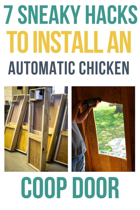 Installing an automatic chicken coop door? Here's what you need to know along with an automatic chicken coop door promo code if you need to buy one! Chicken Coop Automatic Door, Automatic Coop Door, Diy Automatic Chicken Coop Door, Chicken Coop Door Ideas, Chicken Doors, Ranch Plans, Automatic Chicken Door, Urban Chicken, Chicken Door