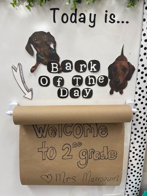 Bark Of The Day Classroom, Dog Classroom, Daily Message, Classroom Layout, Teachers Pet, Primary Education, Busy Teacher, My Classroom, Teacher Tools