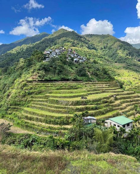 Banaue Rice Terraces on Instagram • Photos and videos Banaue Rice Terraces, Banaue, Rice Paddy, Rice Terraces, Global Travel, Rural Life, Planet Earth, Southeast Asia, Trekking