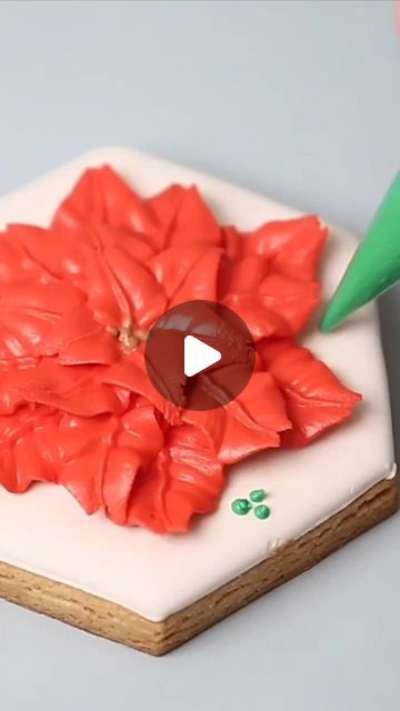 Stephanie | Little Cookie Co on Instagram: "I have a lot of favourite Christmas songs, but this is one of my top ones! #somedayatchristmas #poinsettia #poinsettiacookies #christmasbaking #christmascookies #decoratedcookies #decoratedsugarcookies #royalicing #royalicingcookies #cookietutorials #howtodecoratecookies" Poinsettia Sugar Cookies, Little Cookie Co, Holiday Cookies Decorated, Favorite Christmas Songs, Cookie Tutorials, Christmas Songs, Flower Cookies, Cookies Decorated, Royal Icing Cookies