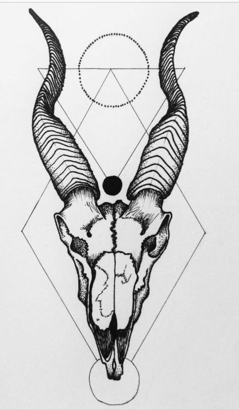 Demon Goat Tattoo, Gazelle Tattoo, Animal Skull Tattoo, Tapestry Cartoon, Tattoo Goat, Antelope Skull, Traditional Viking Tattoos, Arte Aries, Capricorn Tattoo