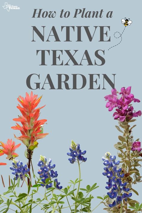 Texas Pollinator Garden Layout, Texas Hill Country Landscape Ideas, Texas Butterfly Garden Native Plants, Houston Native Plants, Texas Native Flower Bed, Texas Native Landscape Design, Texas Native Shade Plants, Texas Cactus Garden, North Texas Front Yard Landscaping Ideas