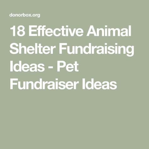 Non Profit Fundraising Ideas Animal Rescue, Dog Shelter Fundraising Ideas, Fundraising Ideas For Animal Shelters, Pet Fundraiser Ideas, Animal Fundraising Ideas, Dog Fundraiser Ideas, Shelter Fundraiser Ideas, Animal Shelter Fundraiser Ideas, Animal Shelter Donation Ideas