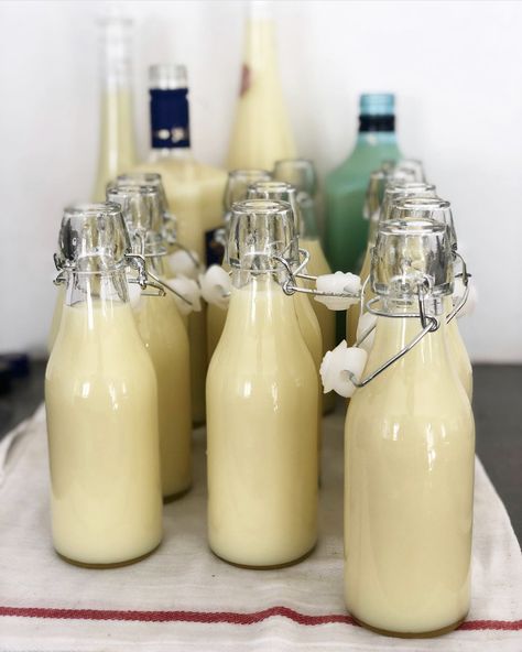 Crema di Limoncello Recipe — The Little Italian School Creamy Limoncello Recipe, Lemon Cello Recipe, Italian Limoncello Recipe, Limoncello Cocktails, Limoncello Recipe, Homemade Limoncello, Homemade Alcohol, Homemade Liquor, Liquor Recipes