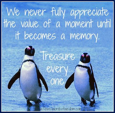 Enjoy your moment before it becomes a memory. Miss My Dad, Moments Quotes, Always Be Grateful, Enjoy The Moment, Penguin Love, Word Of Faith, Enjoy Every Moment, Father Quotes, Time Life