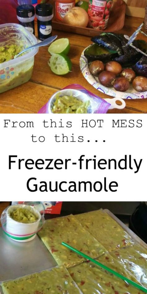 Easy Homemade Freezer-friendly Guacamole – Haphazard Homemaker Guacamole Recipe For Canning, Freeze Guacamole Recipe, How To Freeze Guacamole, Recipes Using Guacamole, Freezing Guacamole, Guacamole Meals, Can You Freeze Guacamole, Freeze Guacamole, Guacamole Recipe Easy Homemade