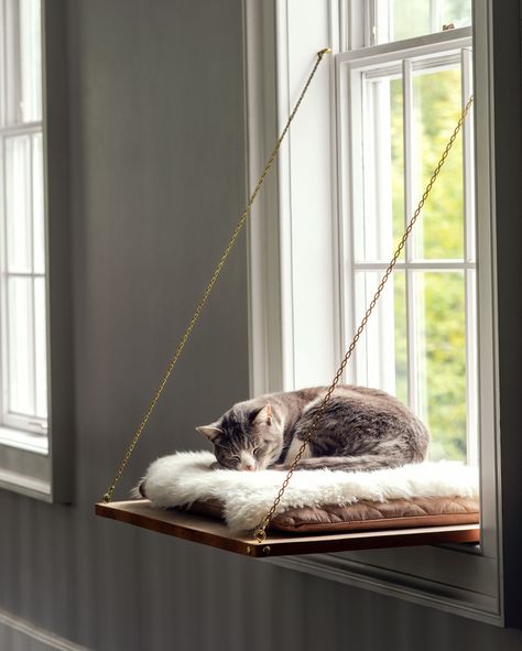 Cat Window Perch | Treat your feline by building her a place in the sun with a window seat that lets her scale new heights, settle in and watch the world (or nap!). Get the how-to here.  #cats #pets #marthastewart #DIY Cat Bed Diy, Katt Hus, Katt Diy, Diy Animals, Diy Cat Bed, Katt Grejer, Kat Diy, Chat Diy, Wooden Cat House