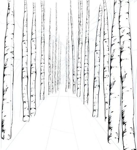 The Gloom Of Drawing Just Cleared Up Beautifully! How To Draw White Birch Tree Avenue With Trunk, Branch, Root Brush Material | MANGA MATERIALS Tree Trunk Texture Drawing, Birch Trees Drawing, Beech Tree Drawing, Drawing Birch Trees, Birch Tree Drawing, Manga Materials, White Birch Trees, Texture Drawing, Birch Trees