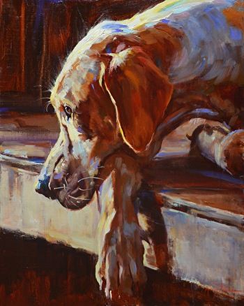 Labrador Painting, Painting Dogs, Portraits Pop Art, Pet Portrait Paintings, White Labrador, Dog Portraits Painting, Canine Art, Custom Dog Portraits, Labrador Dog