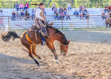 Female Bronc Riders, Montana Cowgirl, Fort Worth Stock Show, Saddle Bronc Riding, Sarah Stone, Bronc Rider, Saddle Bronc, Bronc Riding, Bucking Horse