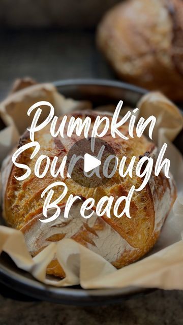 Amy Coyne | Sourdough recipes & help with your bakes on Instagram: "September 1st calls for a pumpkin sourdough loaf! It will fill your whole house with warm fall spices and give you all the fall feels with this soft pumpkin sourdough bread. I hope you love it!  Grab the recipe on my website: https://amybakesbread.com/pumpkin-sourdough-artisan-bread/ (linked in profile) or comment “PUMPKIN” and I’ll send it your way.  #sourdough #sourdoughbaking #sourdoughbread #fallsourdough" Sourdough Pumpkin Bread, Pumpkin Sourdough, Soul Bread, Sourdough Loaf, Sourdough Baking, Sourdough Bread Recipe, September 1st, Fall Spices, Sourdough Recipes