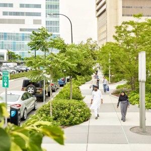 Landscape Plaza, Streetscape Design, Linear Park, Urban Landscape Design, Street Trees, Green Street, Landscape Architecture Design, San Francesco, Street Design