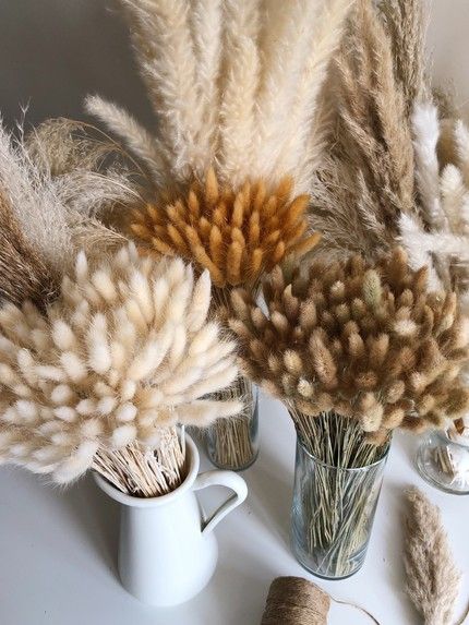 Plant Wedding Favors, Lavender Bunny, Dried Arrangements, Wedding Plants, Dried Plants, Grass Decor, Pampas Grass Decor, Bunny Tails, Pampas Gras