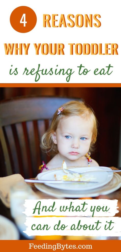 Four reasons why your toddler is refusing to eat and what you can do about it. From Feeding Bytes Toddler Won’t Eat, Positive Parenting Advice, Toddler Nutrition, Feeding Therapy, Picky Toddler, Age Appropriate Chores, Twin Toddlers, Tantrums Toddler, Picky Eating