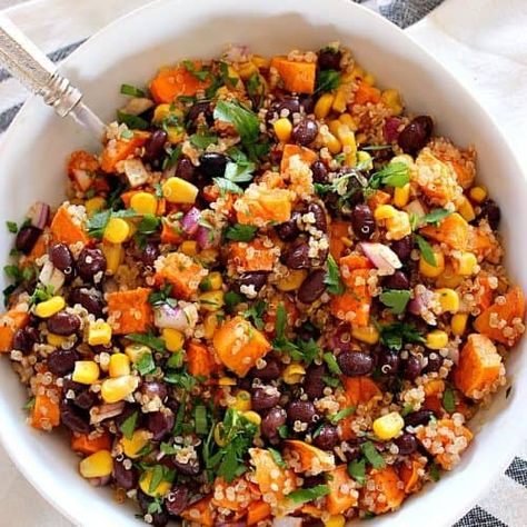 Roasted Sweet Potato Black Bean Quinoa Salad Recipe Quinoa Salad Recipes Healthy, Black Bean Quinoa Salad, Bean Quinoa Salad, Sweet Potato Quinoa Salad, Bean Quinoa, Sweet Potato Black Bean, Black Beans Corn, Quinoa Sweet Potato, Black Bean Quinoa