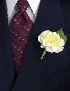 Perfect. This or the other purple I pinned earlier... which ever is cheaper works! :) Navy Peach Wedding, Carnation Boutonniere, Mum Bouquet, Carnation Wedding, 1920s Wedding Theme, Carnation Bouquet, Groomsmen Boutonniere, Red Carnation, Daisy Wedding