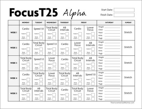 T 25 Workout Schedule, T25 Calendar, T25 Workout Schedule, T25 Workout, Alpha Beta Gamma, Writing Sentences Worksheets, Focus T25, Creation Coloring Pages, 5th Grade Worksheets