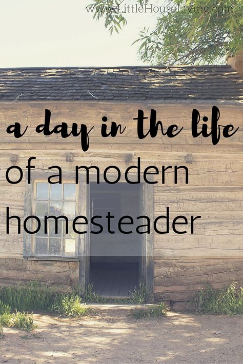 Follow along in the day of the life of a modern homesteader.... Modern Homesteading, Homesteading Skills, Growing Veggies, Rv Living Full Time, Homestead Living, Mini Farm, Full Time Rv, Chicken House, Grow Your Own Food