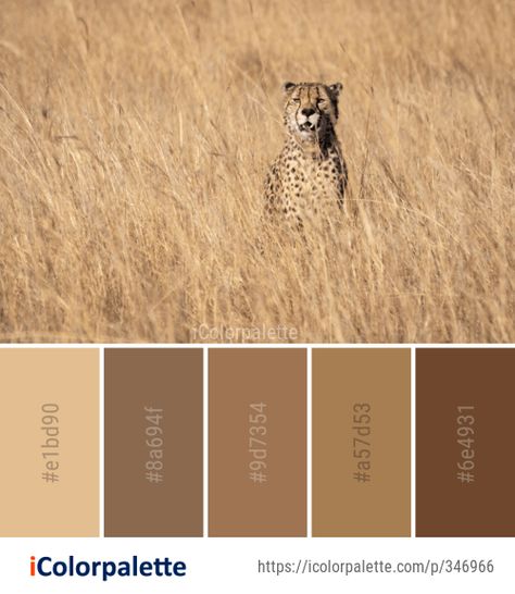 Safari Wedding Color Palette, Savannah Color Palette, Safari Colour Palette, African Color Palette, Safari Color Palette, Color Palette Theme, Safari Colors, Out Of Africa Style, Giraffe Images