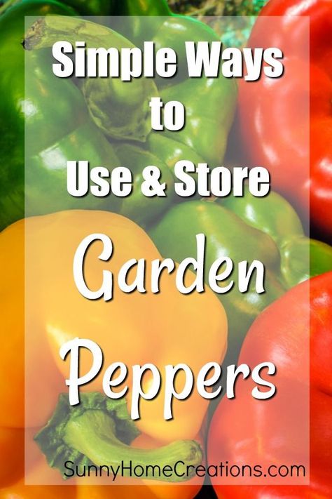 How To Use Up Green Peppers, How To Store Peppers From Garden, What To Do With Green Peppers From The Garden, Storing Peppers From Garden, How To Store Green Peppers, Garden Peppers Recipes, What To Do With Lots Of Green Peppers, Best Way To Store Peppers, Preserve Green Peppers