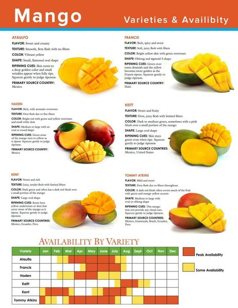 Mango types Types Of Mangoes, Mango Ripeness Chart, Mango Types, Mango Varieties, Mango Benefits, Mutton Curry, Food Health Benefits, Food Infographic, Mango Recipes