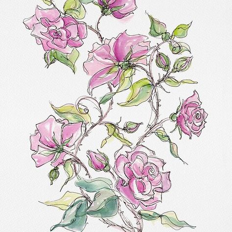 Rose Plant Care, Tattoos Rose, Aesthetic Plants, Plants Care, Wallpaper Rose, Climbing Rose, Rose Plant, Aesthetic Garden, Garden Aesthetic