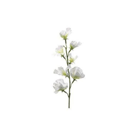 Coquette Flowers Png, Flower Iphone Icons, Flower Carrd Png, White Flower App Icon, Small White Widget, Notion Flower Icon, Aesthetic Icons White Background, Flowers Widget Aesthetic, Aesthetic Widget White Background