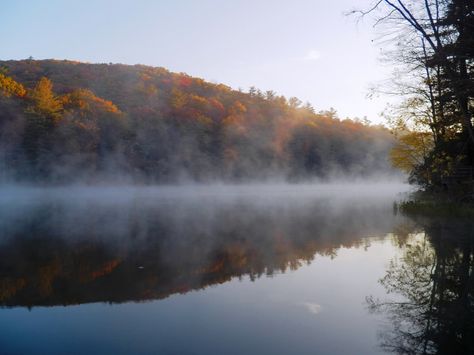 The Reflection, State Park, Glamping, State Parks, Pop Up, Water