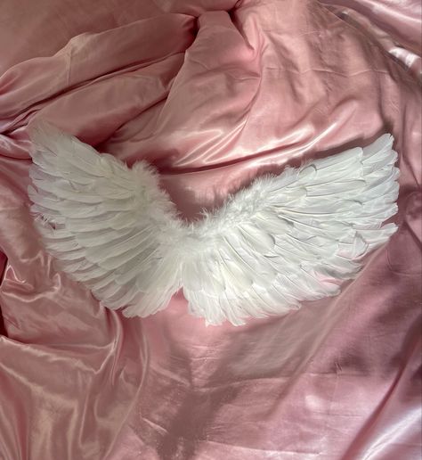 selkie white angel wings on a pink satin blanket, the sun is shining on half of the wings. Angel Wings Halloween, Tumblr Vibes, Love Core, Streetwear Luxury, Rosé Halloween, Angelic Aesthetic, Satin Blanket, Diy Angel Wings, Angel Wings Costume