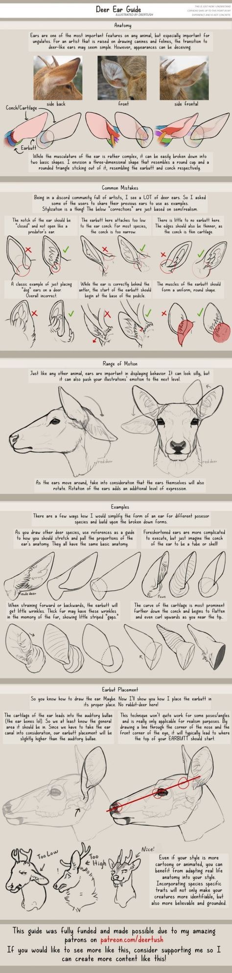 Ears Drawing, Deer Ears, How To Draw Ears, Deer Drawing, Animal Study, Drawing Studies, Figure Drawing Reference, Creature Concept Art, Anatomy Reference