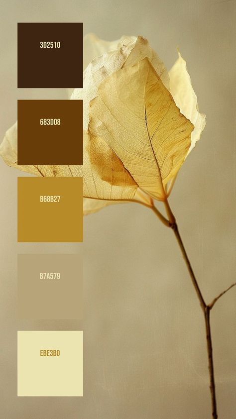 Colors:
3D2510
683D08
B68B27
B7A579
EBE3B0 2 Color Combos, Yellow Color Combinations, Neutral Background, Small Apartment Decorating, The Leaf, Color Analysis, Colour Board, Patterns In Nature, Pale Yellow