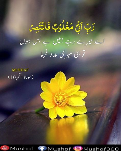 Ayat With Urdu Tarjuma, Quran Urdu Translation, Quran Sharif, Quran Urdu, Ayat Quran, Coran Islam, Islam Hadith, Beautiful Quran Verses, Beautiful Morning Messages