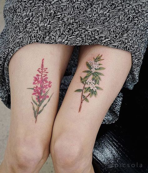 Fireweed (healed) and Labrador Tea (fresh) for Paulina, thank you! #labradortea #fireweed #floraltattoos Fireweed Flower Tattoo, Fireweed Tattoo, Alaska Tattoo, Labrador Tea, Cage Tattoo, Tea Tattoo, Texas Tattoos, Ribcage Tattoo, Sweet Tattoos