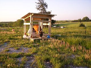 Cow Stanchion, Cow Shed Design, Cow Shed, Dairy Cow, Horse Equipment, Dairy Farm, Dairy Cows, Lake Cabins, Shed Design