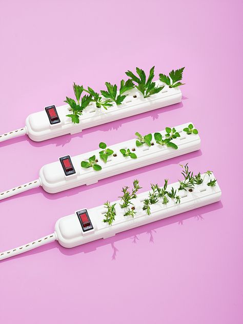 ENERGY! Power Strip Garden Macro Fotografie, Plants Growing, Photography Series, Vaporwave Aesthetic, 8 Bit, Conceptual Art, Life Photography, Still Life Photography, Food Design