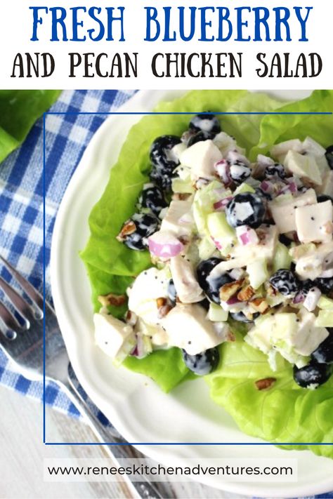 Chicken Blueberry Salad, Chicken And Fruit Salad Recipes, Chicken Salad With Blueberries, Chicken Salad With Blue Cheese, Salad With Chicken And Blue Cheese, Chicken Salad Recipe With Grapes Apples And Pecans, Chicken Salad Poppy Seed, Chicken Salad With Grapes And Pecans, Blueberry Chicken