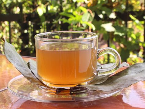 Cistus tea is one of the most ancient medicinal teas, originating in the Mediterranian region. Its many beneficial properties come from its rich deposit of antioxidants. Soursop Tea Recipe, Soursop Tea, Medicinal Tea, Tea Health Benefits, Cooking Thermometer, Traditional Medicine, Organic Teas, Lower Blood Pressure, Brewing Tea