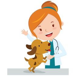 Cropping Your Dog's Tail or Clipping His Ears Veterinary Day, Veterinary Services, Pet Vet, Pet Clinic, Emergency Care, Pet Insurance, Cartoon Drawing, Animal Hospital, Losing A Pet