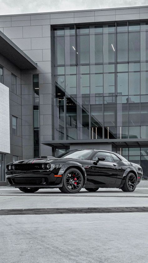 Dodge Challenger 2023, Dodge Challenger Wallpapers, Scat Pack Challenger, Dodge Challenger Scat Pack, 60s Muscle Cars, Cars Pictures, Adventure Car, Dodge Challenger Srt Hellcat, Luxury Car Brands