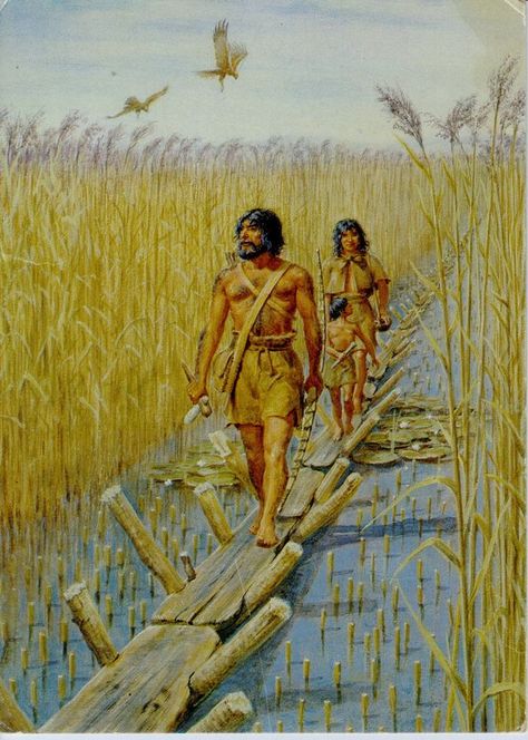 Somerset Levels, Prehistoric Man, Ages Of Man, Egiptul Antic, Prehistoric World, Early Humans, Prehistoric Art, Iron Age, Stone Age