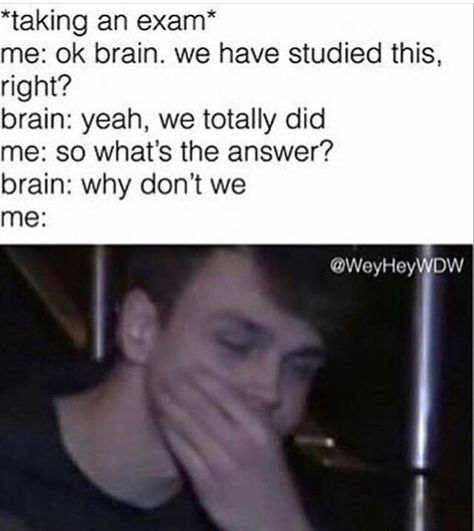 Why Don't We Memes Funny, Meet And Greet Poses, Wdw Memes, Why Don't We Memes, Why Dont We, Why Dont We Imagines, Haha So True, Man Band, Why Dont We Band