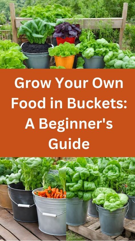 Never thought you could grow your own food? Think again! This beginner's guide takes you through the easy process of bucket gardening, from selecting containers and soil mixes to planting, caring for, and harvesting a bountiful crop of fresh veggies and herbs. Growing Vegetables In Containers Ideas, Container Food Garden, Bucket Vegetable Garden, Potted Vegetable Garden Ideas, Easy Vegetable Garden, Bucket Garden, Growing Vegetables In Pots, Diy Container Gardening, Vegetable Garden Planner